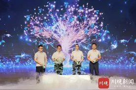 “鸽子花内容共创计划”②丨从中国新闻奖里走出一个“鸽子花共创计划”图片
