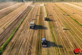深耕沃土育英才！潍坊学院现代农学院打造知农爱农新型人才高地图片