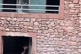 湖南一动物园工作人员遭河马攻击，动物园回应：两头河马打架，他去劝架滑倒了，没受伤图片