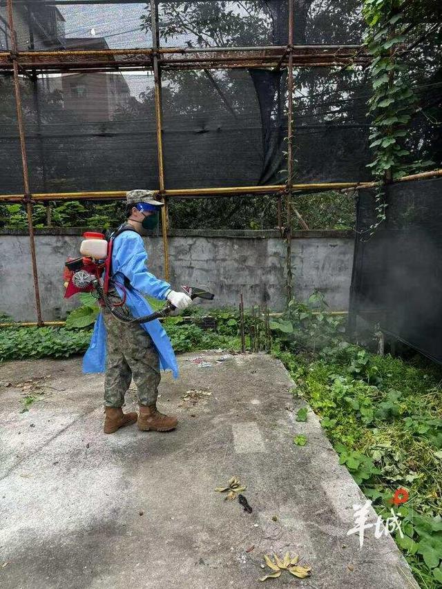 广州民兵投身基孔肯雅热疫情防控