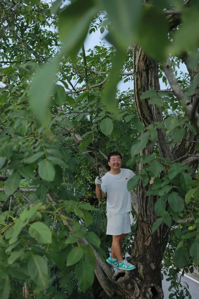 喜望，山上的小院