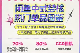 中式梦核风带火闲鱼上的古早电子产品：小霸王游戏机、复古CCD等搜索量上涨215%图片