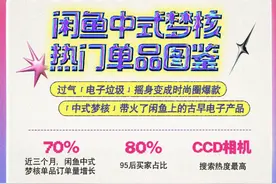 中式梦核风带火闲鱼上的古早电子产品：小霸王游戏机、复古CCD等搜索量上涨215%图片