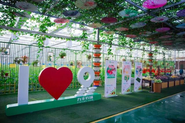 快来“薅羊毛”！金山这些景点限时免费