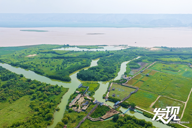 发现丨洽川湿地：绿水盈盈 芦苇丛丛