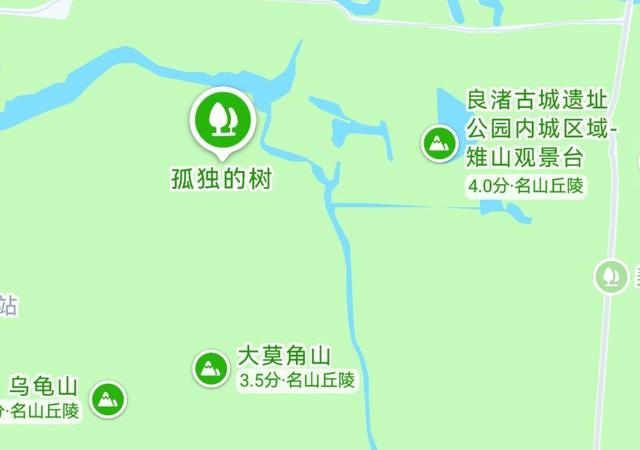 每一棵都独一无二，杭州这些“漂亮树”成热门打卡点