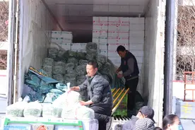 北京蔬菜供应地由南往北转移，菜价开始波动下行图片