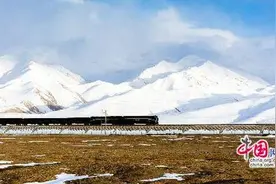 时评：青藏铁路，驶向幸福的“天路”(图)图片