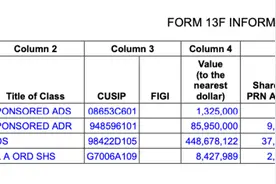 阿里最新美股持仓：持仓总市值超5亿美元，增持小鹏减持玩美图片