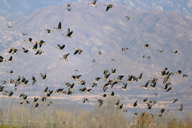 北京冬日限定“奇观”！就到月底！快冲→