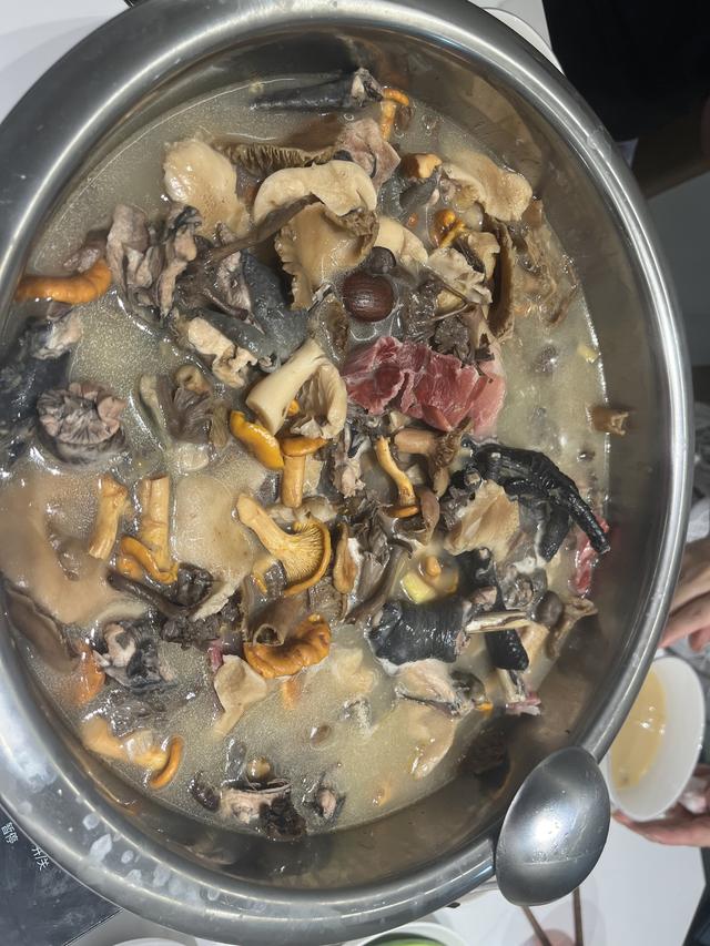 写点生活｜昆明避暑之菌菇篇
