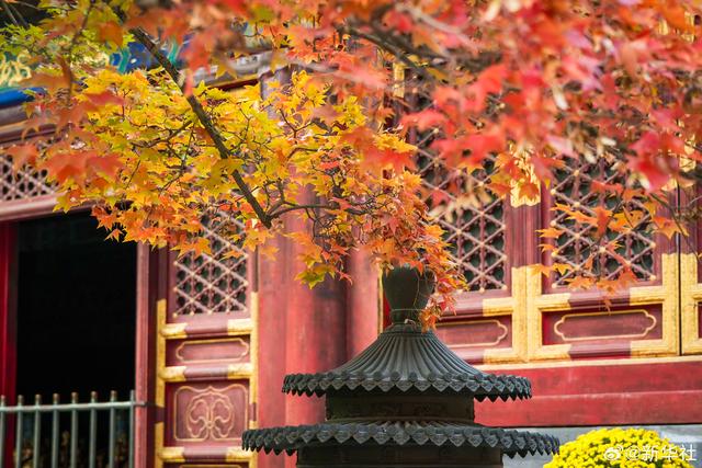 收藏！秋天是写在古都的诗篇