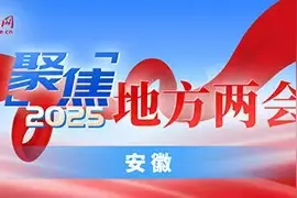 安徽提出2025年发展目标：GDP增长5．5％以上图片
