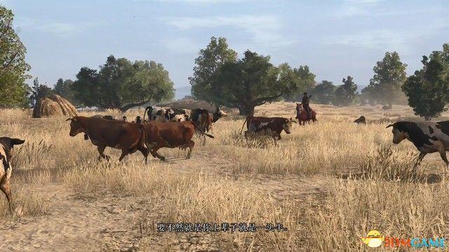 《荒野大镖客：救赎》全剧情流程攻略 全支线任务全收集攻略