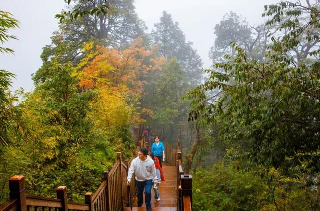 值哭！秋日的瓦屋山超有氛围好吗~