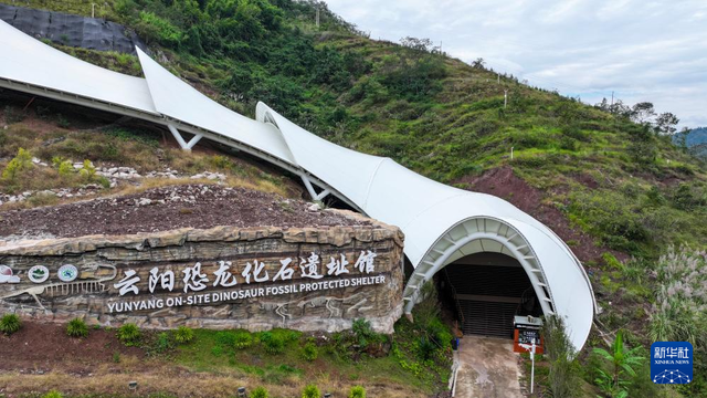 新时代中国调研行之文化中华｜重庆云阳的“侏罗纪公园”