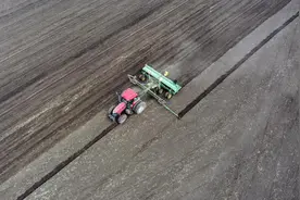 世界土壤日｜黑土地：耕地界的“大熊猫”有何独特之处？图片