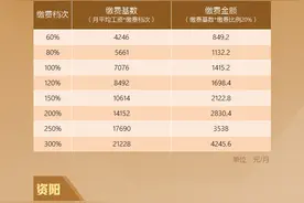 一图速览四川各地2023年度养老保险缴费档次图片