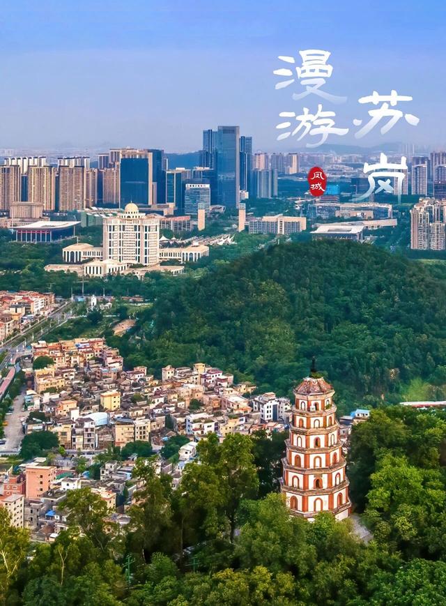 承接区府大院流量！顺德多镇街花式“宠粉”