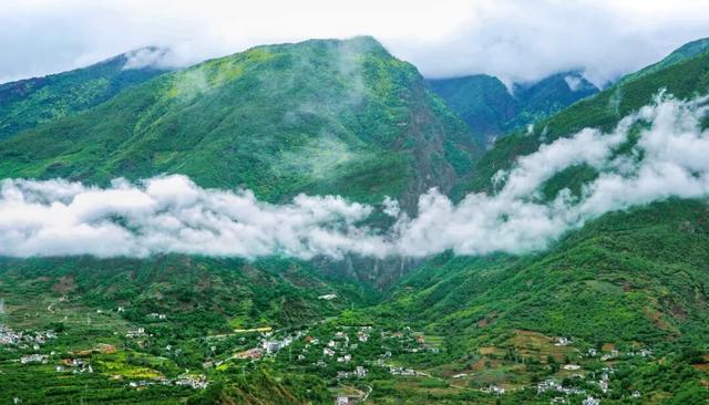 漾濞是“世界核桃起源地”！有五个维度可为证……