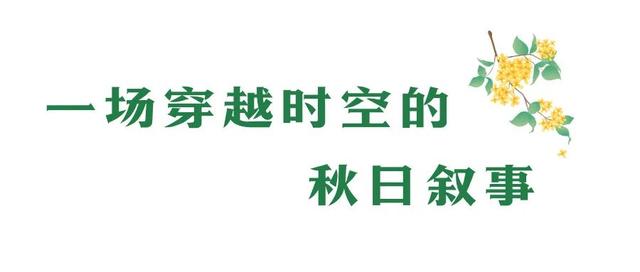 行摄 | 美爆了！秋日花海，限时上映