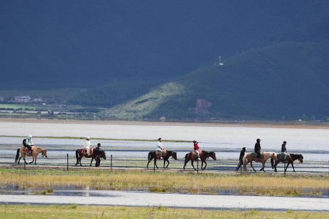 香格里拉旅游火爆，日均19℃清凉吸引中外游客