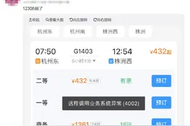 12306客服：App刚进行系统维护，已陆续恢复图片