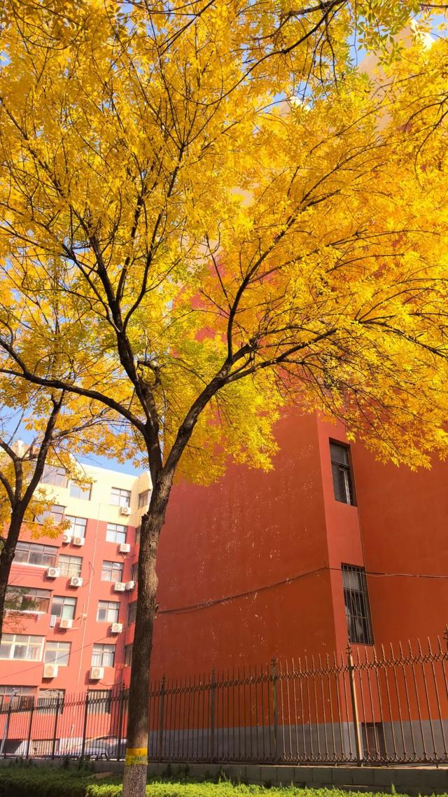 此刻！石臼街道的美景！