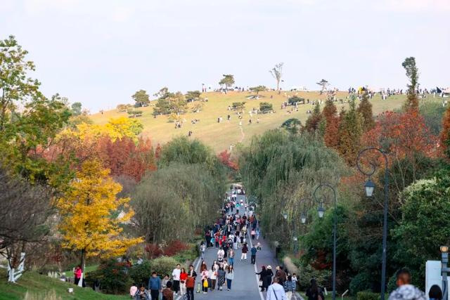这含“金”量，不摆啦！贵阳的秋天，谁懂？