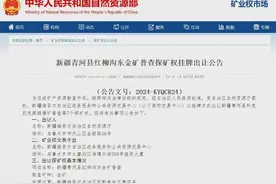 矿权推介｜矿业权招拍挂出让公告信息（第六十五期）图片