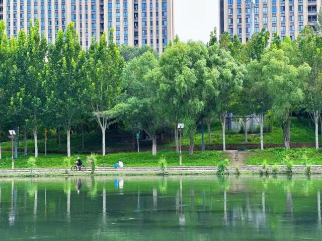 亦城寻秋：那些藏在光影与烟火里的→