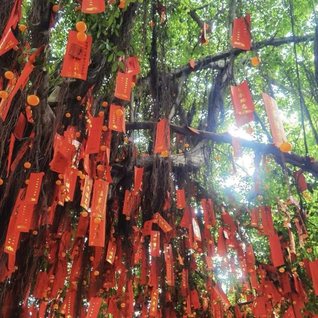 暂歇城市的喧嚣，来建宁赴一场器村的七夕邀约