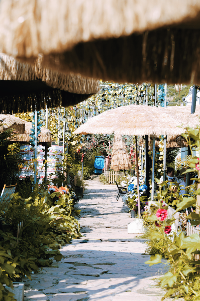 听，呼和浩特的秋天在喊你煮茶喝咖了