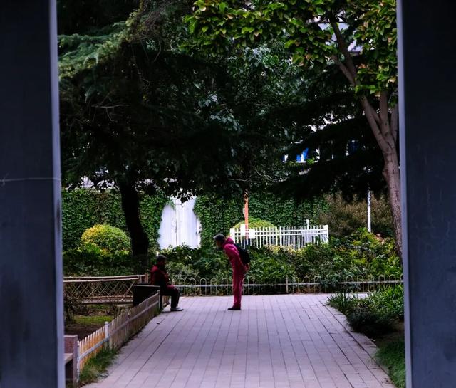 「外包儿女」：拿人钱财，替人尽孝