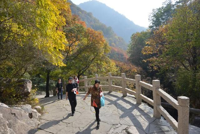 九九重阳，梨木台邀您共赴一场秋日敬老之约