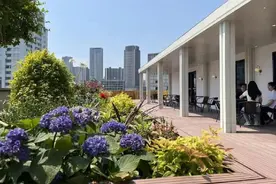 常州钟楼：从“生活”到“生态”，从“安家”到“安心”图片