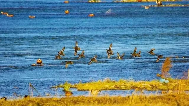 年假清零，总要留几天给洛阳