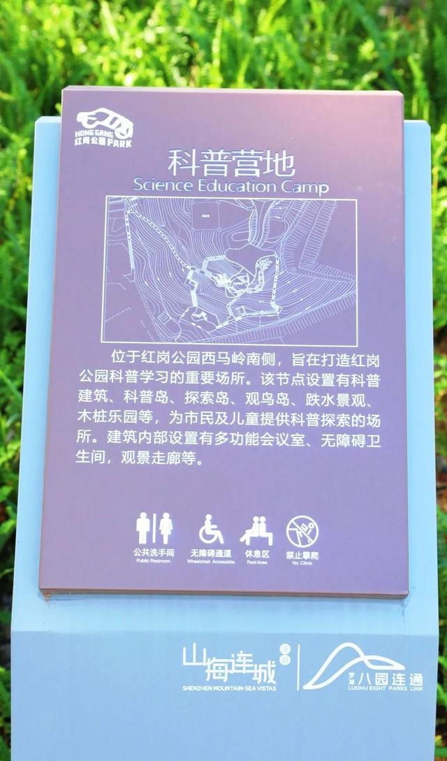 新晋网红公园来了！出片率超高！