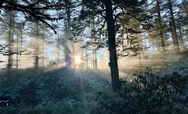 “云上瓦屋” 上线！本周绝美云海频出，这仙境谁看谁震撼！