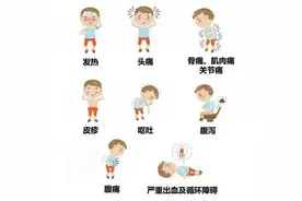 长沙创卫进行时 | 防蚊有妙招，警惕蚊虫叮咬传播登革热图片