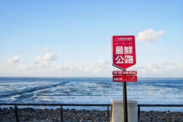 最鲜城市，请回答！