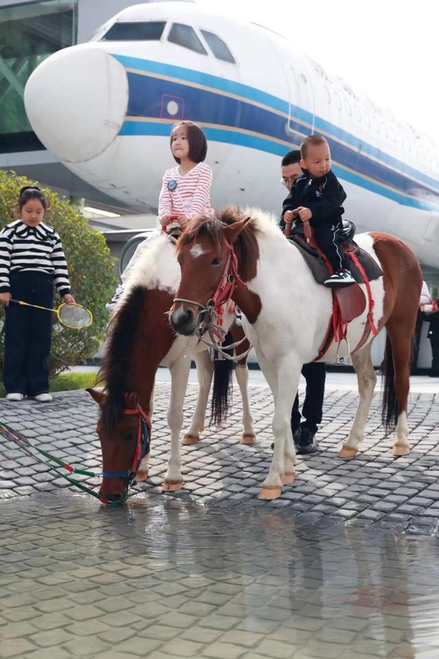 免费！康巴什绝美旅拍照片 你拿到了吗？