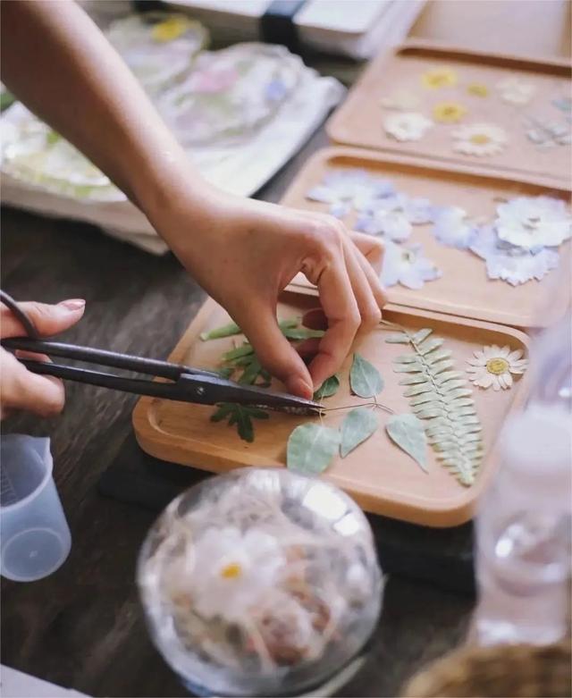 逃离热浪，焦作“清凉秘境”正在等你→