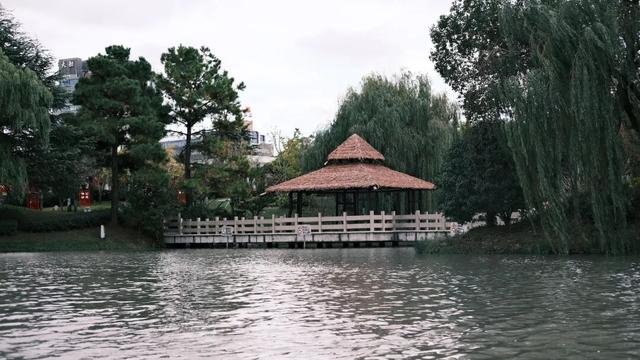 域见上海·域见奉贤｜奉浦秋日限定！这三条宝藏路线，承包所有秋日浪漫，刷爆朋友圈就靠它