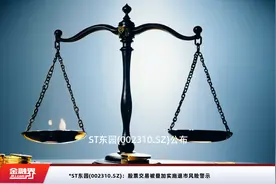 *ST东园(002310.SZ)：股票交易被叠加实施退市风险警示视频封面