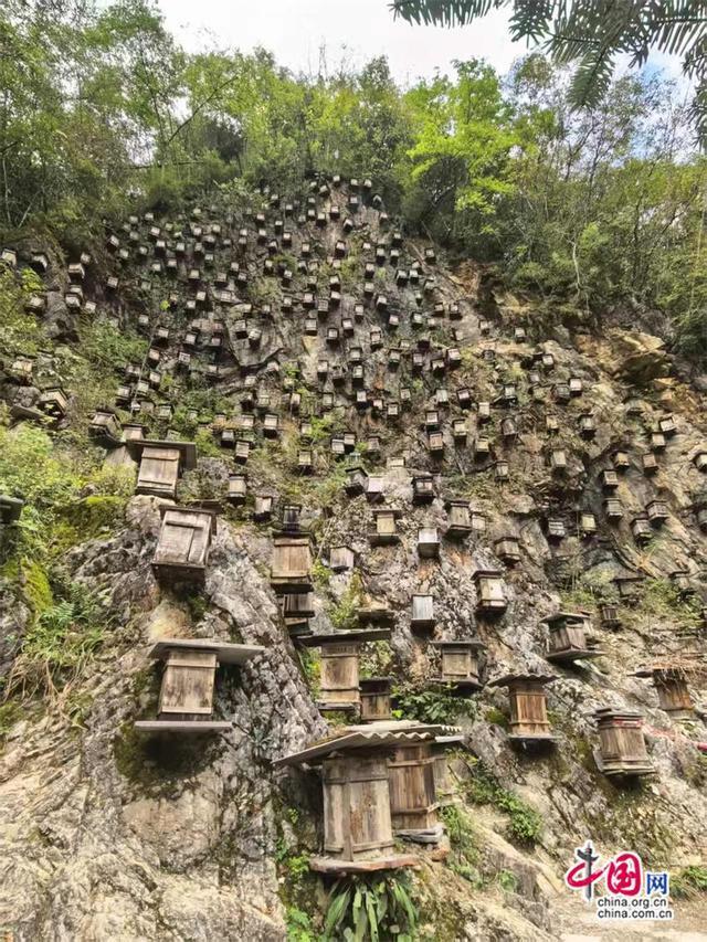 高舜礼：神农架的旅游，应重在“神”上发力