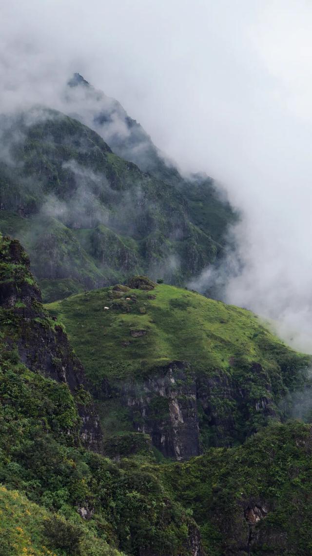 东川节基坪：藏在云雾里的山野秘境