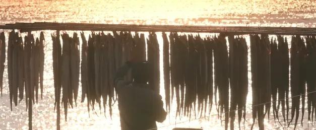 舟山普陀闪耀扬州！“悠游舟山”活动奏响三地文旅协同强音