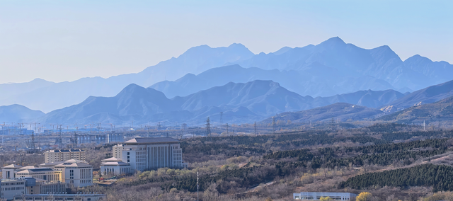 园博园初冬，赴一场静美之约