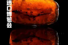 倒计时1天｜亿年前的白垩纪琥珀全球首秀，内藏蜥蜴捕猎罕见瞬间图片